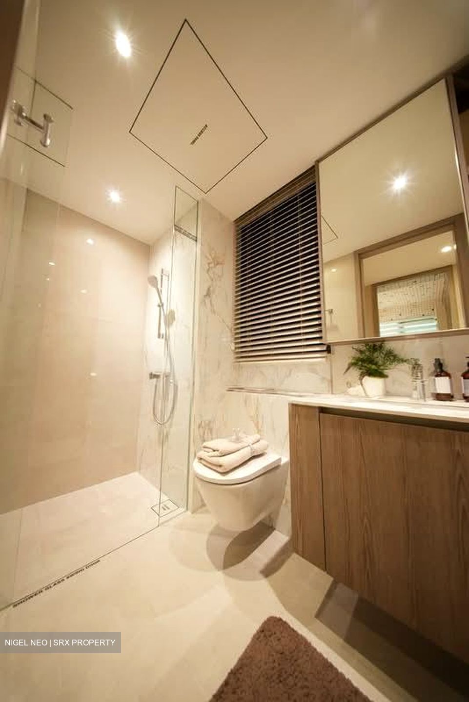 Boon Lay Way (D22), Condominium #557636521